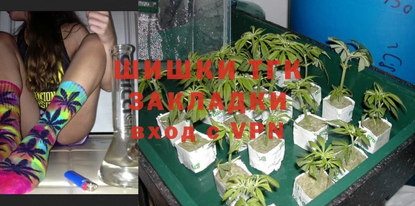 амф Новодвинск