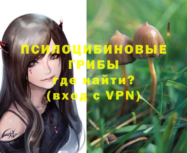 амф Новодвинск