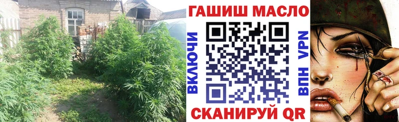 ссылка на мегу ССЫЛКА  Александров  ТГК THC oil 