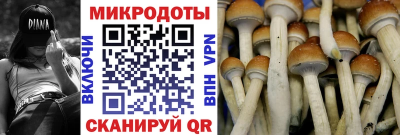 Галлюциногенные грибы Psilocybine cubensis  Александров 