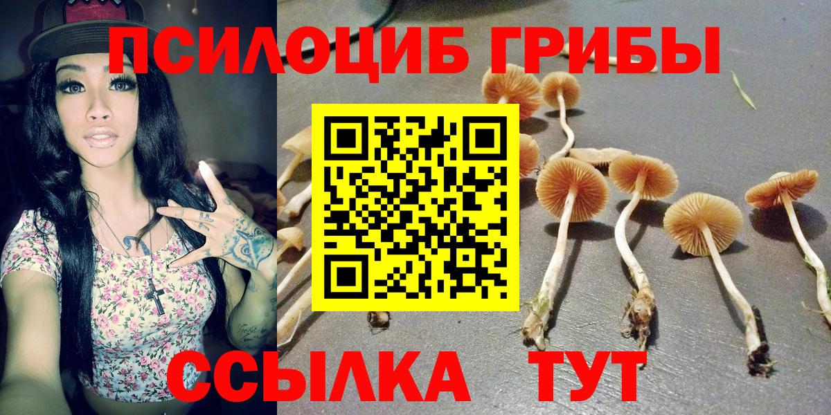 Галлюциногенные грибы мицелий Александров