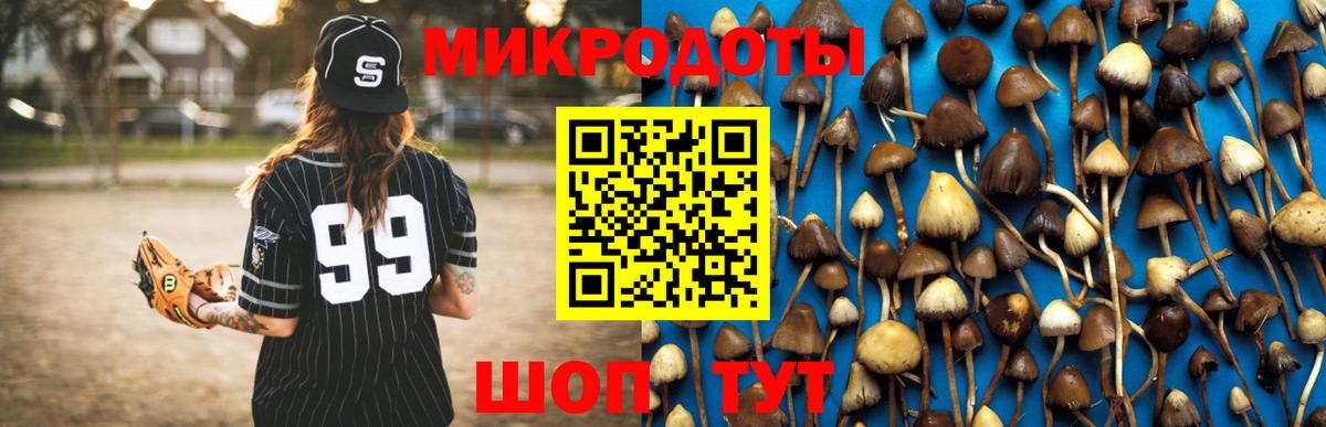 Псилоцибиновые грибы GOLDEN TEACHER  Вход с VPN  Александров 