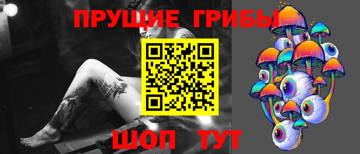 Псилоцибиновые грибы Magic Shrooms  Александров  магазин  наркотиков  Псилоцибиновые грибы GOLDEN TEACHER 