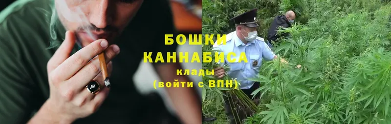 блэк спрут ссылки  Александров  Конопля Ganja  как найти закладки 