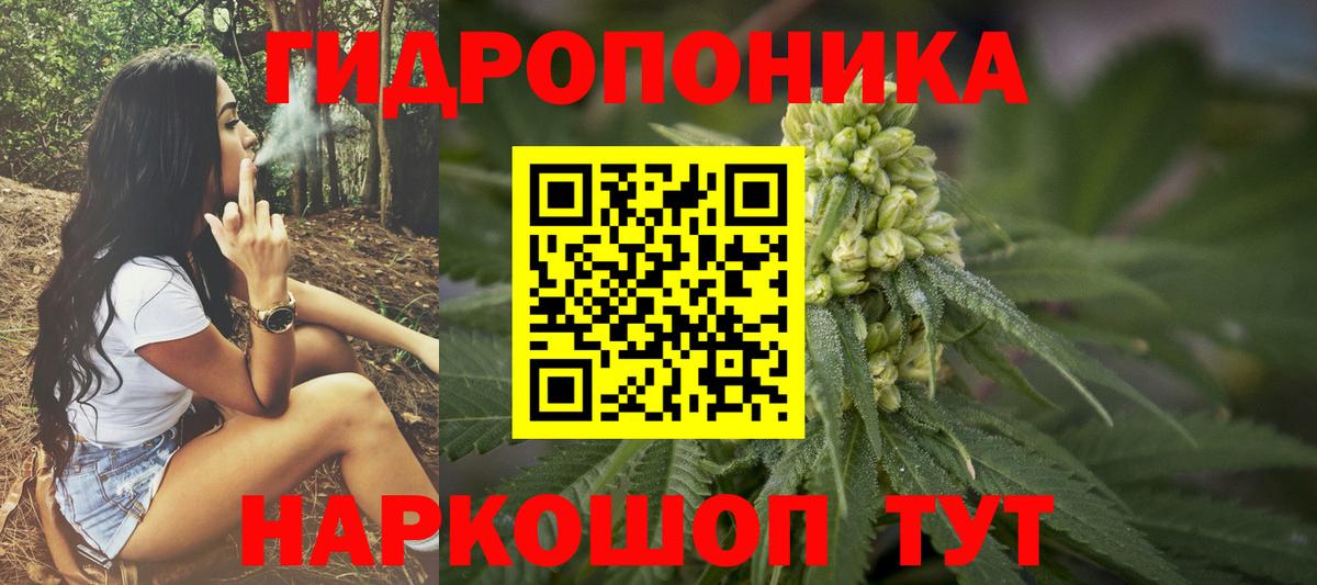 Кодеин Александров