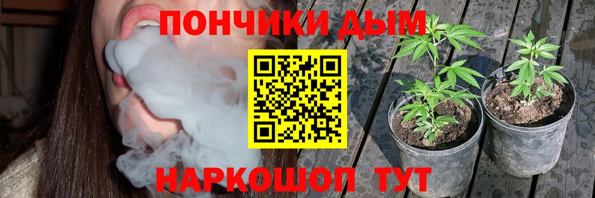 Бошки Шишки ГИДРОПОН Александров